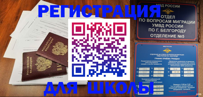 прописка поиск в Лодейном Поле